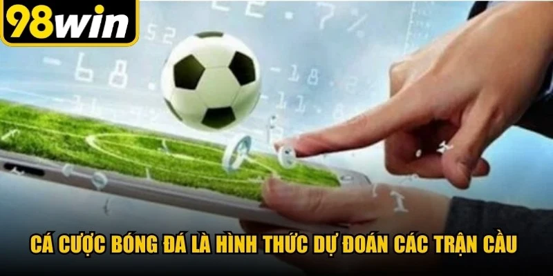 Cá cược bóng đá là hình thức dự đoán các trận cầu dựa vào tỷ lệ nhà cái đưa ra