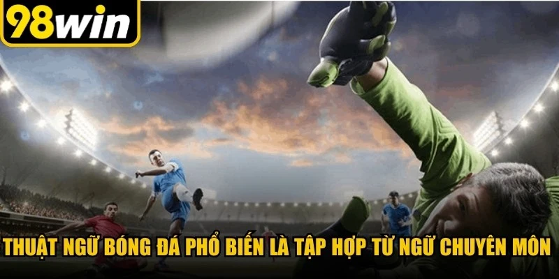 Thuật ngữ bóng đá phổ biến là tập hợp các từ ngữ chuyên môn trong thi đấu